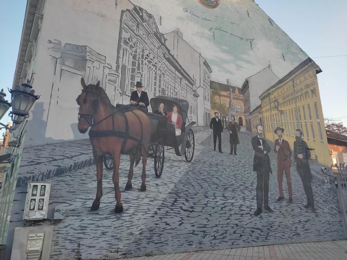 Appartamento Woody Novi Sad Esterno foto
