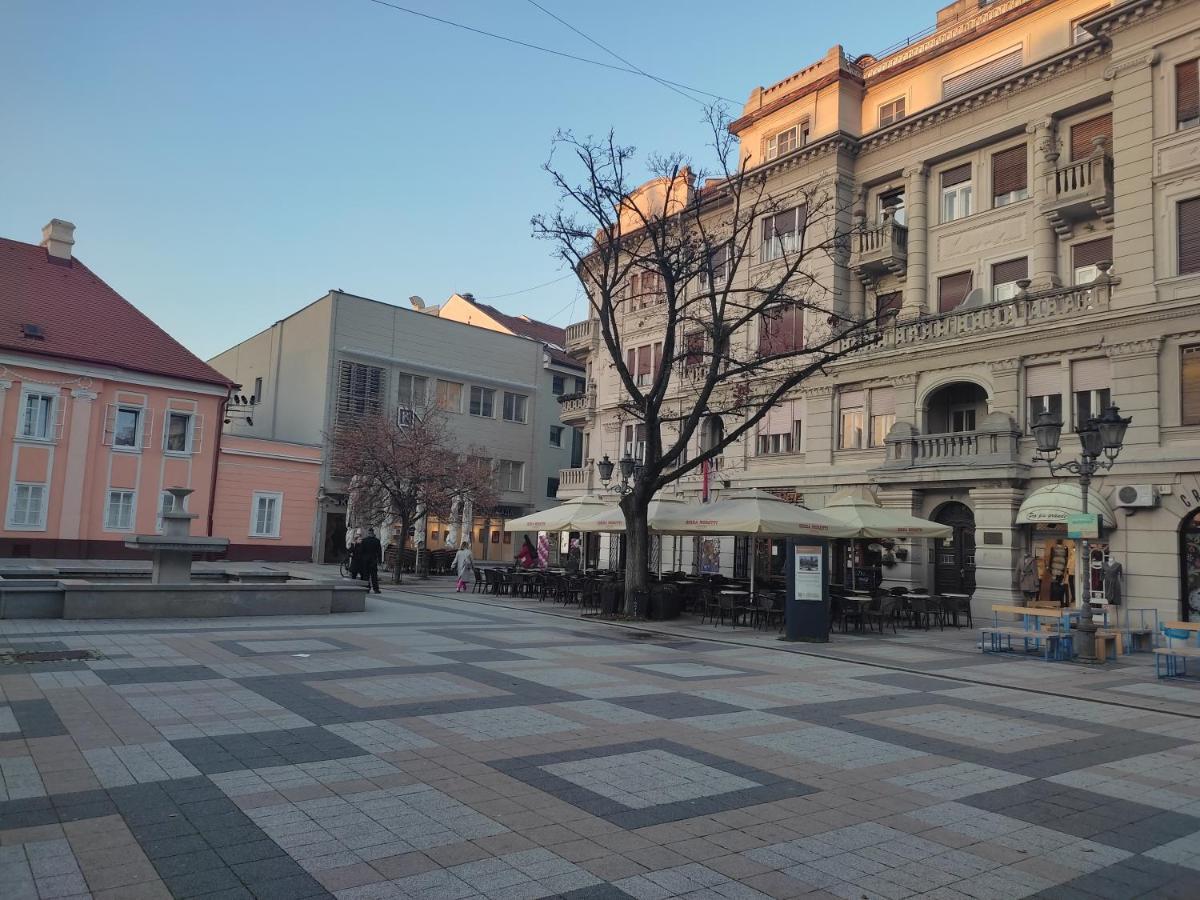 Appartamento Woody Novi Sad Esterno foto