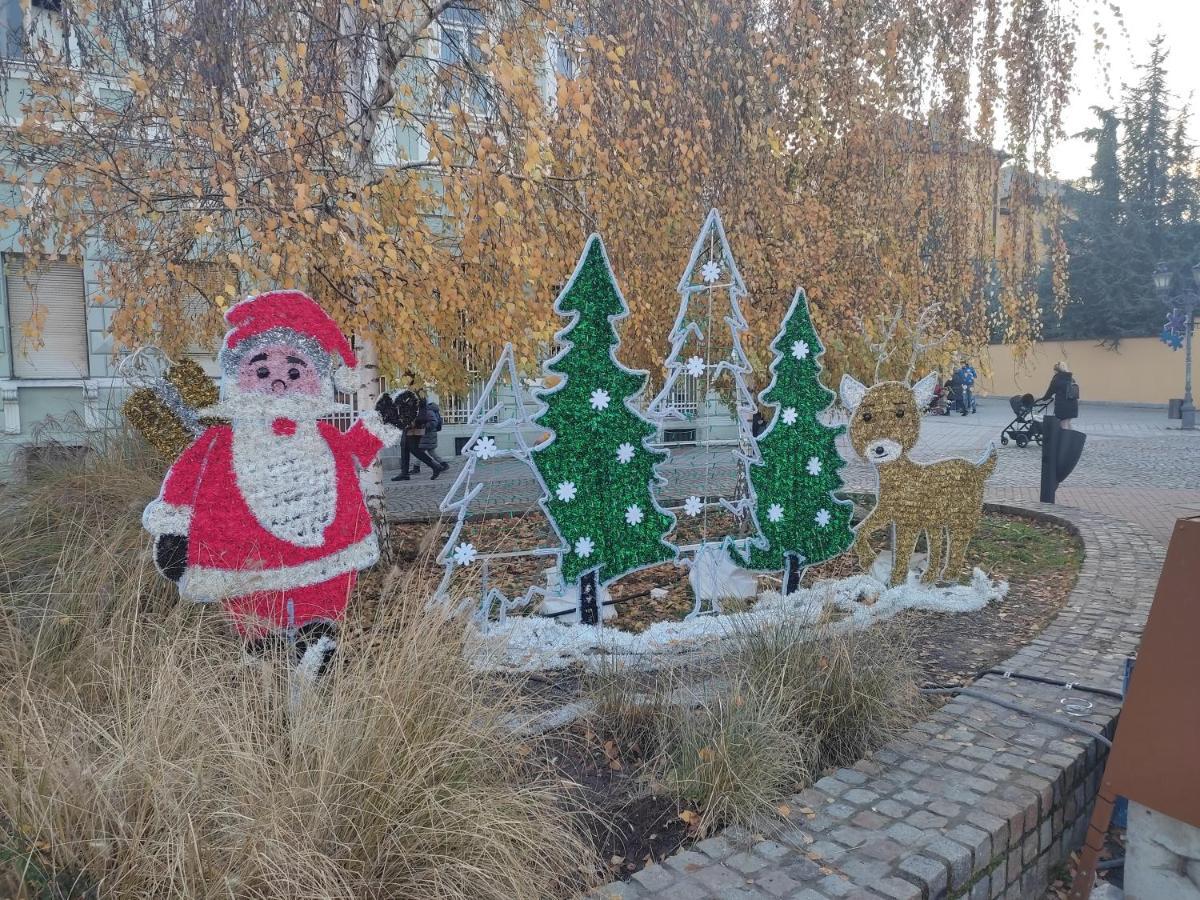 Appartamento Woody Novi Sad Esterno foto