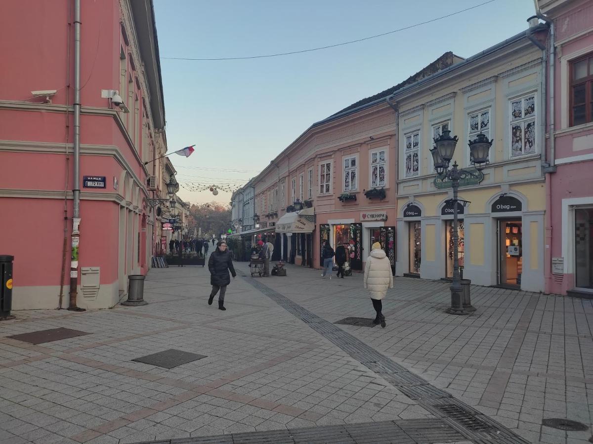 Appartamento Woody Novi Sad Esterno foto